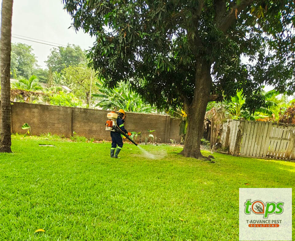 pest control project 7